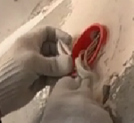 1.9.4 свернуть (2).jpg